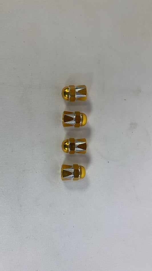 Crown valve  caps